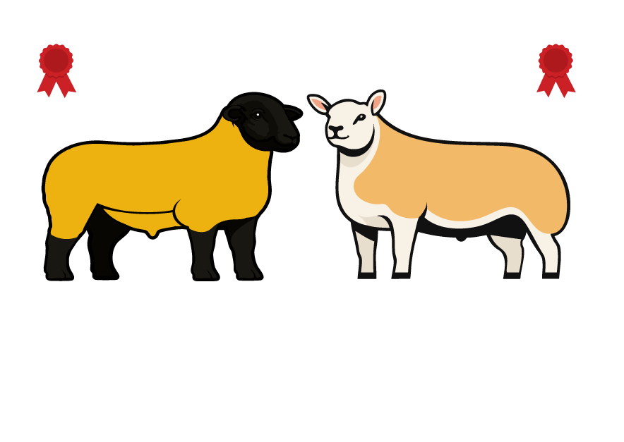 Black Gate Lamb Box