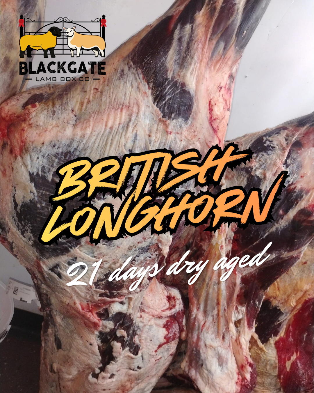 1/2 Beef box | 21 days Dry Aged Grass Fed Longhorn